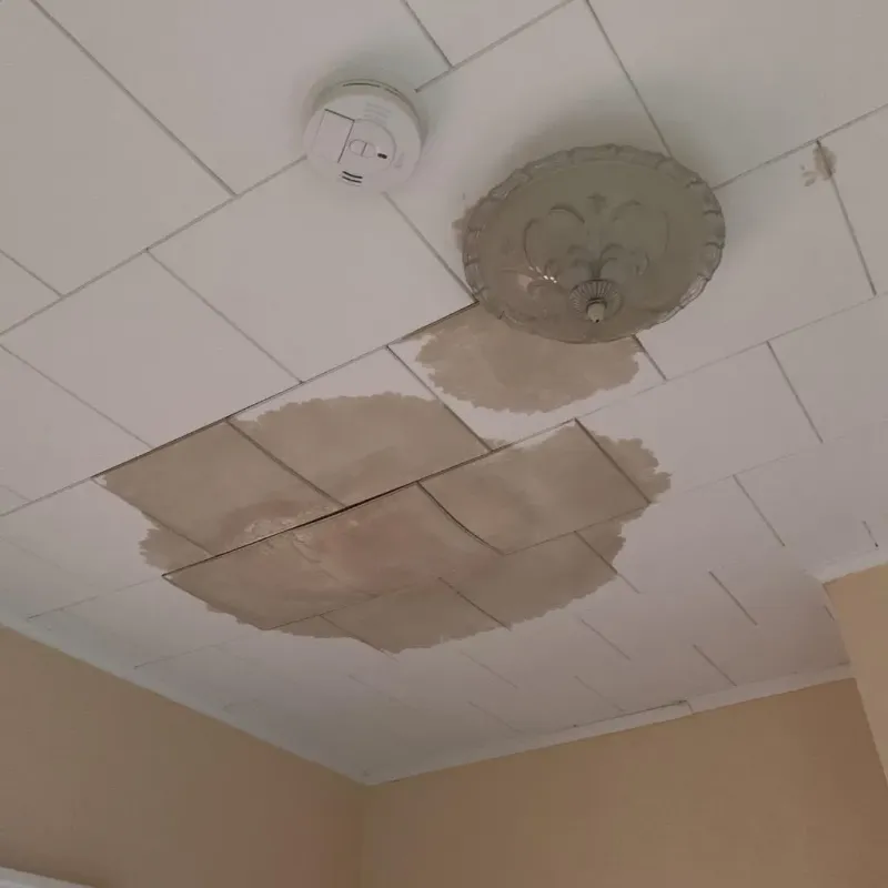 Ceiling Water Damage Repair in Wauna, WA