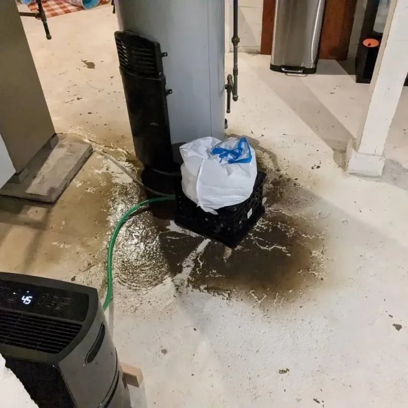 Sewage Backup Cleanup Service in Wauna, WA